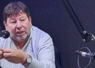 Hernán Torres Guerrero: «El ‘efecto Insaurralde’ es una patada en el tobillo»