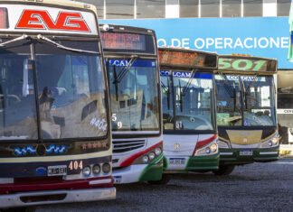 Este domingo de elecciones habrá transporte público gratuito en Brown