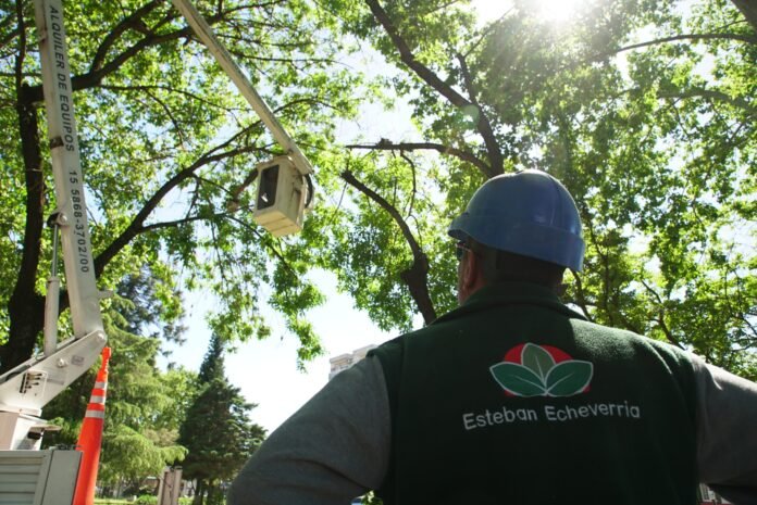 0fc7fc3a-1f10-0d5e-ff59-6635312cffd0