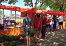 Guernica: Feria Soberana “Conectando mano a mano familias productoras y consumidores”