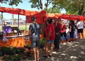 Guernica: Feria Soberana “Conectando mano a mano familias productoras y consumidores”