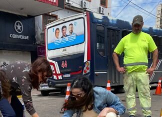 Mientras que la causa sigue abierta y el chofer en libertad, amigos y familiares de Ana María Espíndola señalizaron el lugar donde fue atropellada