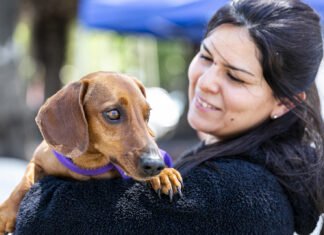 Zoonosis asistió a 2360 perros y gatos durante una jornada en diversas localidades