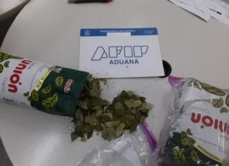 En el Día del Mate, la Aduana descubrió hojas de coca escondidas en paquetes de yerba
