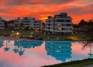 Perspectivas 2024 + Derogación de la Ley de Alquileres: Testimonios de inmobiliarias líderes en Zona Sur, Norte y Uruguay