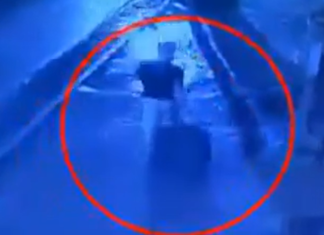 Descuartizador de Lanús: «Lo hice para seguir cobrando la jubilación»