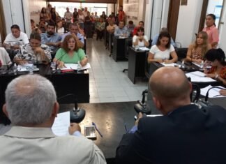 El HCD de Almirante Brown “repudió” el DNU de Javier Milei