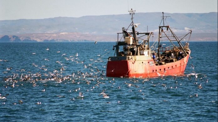 recursos-del-mar-argentino