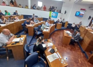 Lomas de Zamora: concejales opositores piden la conformación de la Comisión de Seguridad