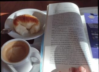 Lectura de verano: «No te vi venir»