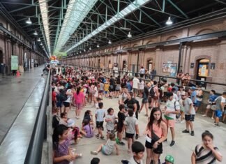 En una nueva edición de su programa de verano “Los derechos de la niñez no se toman vacaciones”, la UNLa recibe a cientos de chicos en su campus