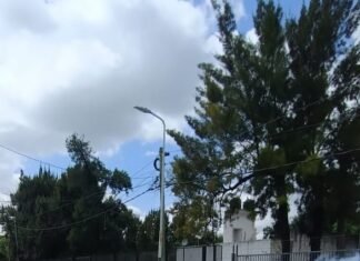 Continúan los trabajos de fumigación en Echeverría