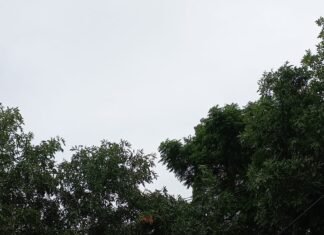 Lunes con alerta amarilla por tormentas y una máxima de 24 grados para el AMBA