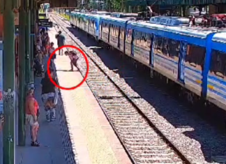 En la estación Longchamps: intentó robar un celular pero fue detenido