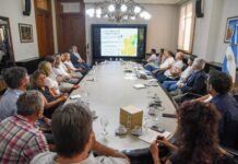 Primeros pasos hacia un clúster ovino y la producción de “cordero pesado”