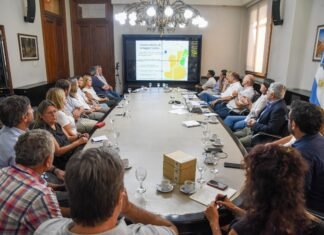 Primeros pasos hacia un clúster ovino y la producción de “cordero pesado”