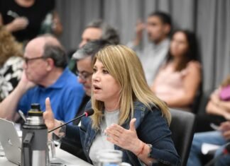 La diputada Mónica Litza celebró el rechazo del DNU en el Senado