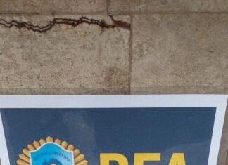 En el Lollapalloza: detienen a una persona por vender droga