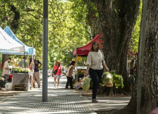 El programa «Circuito de Ahorro Brown» presenta productos de calidad a precios accesibles