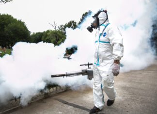 Recomendaciones del Municipio de Brown y la Provincia para prevenir el dengue, zika, chikungunya y encefalitis