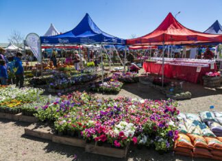 Vuelve la feria de productores rurales a la Granja Municipal de Brown con propuestas gastronómicas y actividades para toda la familia