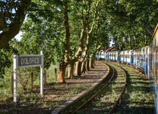 Están a la venta los servicios de larga distancia de la Línea Roca desde el 22 de abril al 1° de mayo