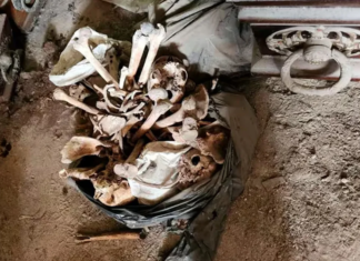 La Plata: lograron identificar a 150 cadáveres que estaban abandonados en el Cementerio