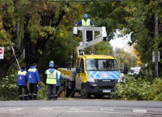 El Municipio de Brown realiza operativos de poda y corte de ramas despejando luminarias, cámaras y semáforos