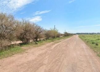 Monte Grande Sur: hallaron a una pareja sin vida en un descampado