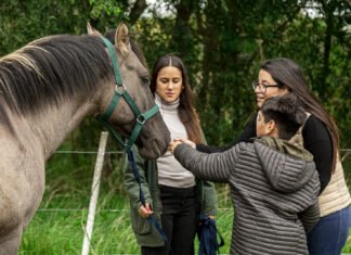 El Municipio de Brown puso en marcha un programa de terapia asistida con animales