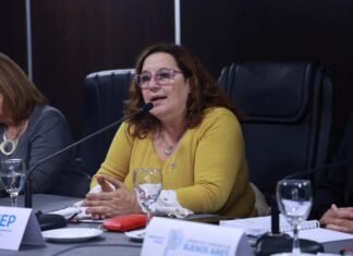 Cecilia Cecchini: “Esta ley viene a ser muy rigurosa con trabajadores y muy permeable con los intereses de los poderosos”