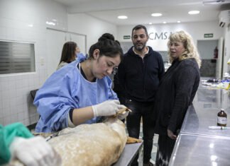 Una delegación de Córdoba visitó Zoonosis Brown para conocer y replicar su modelo de sanidad animal