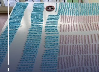 Allanamientos en Monte Grande y otros puntos del Conurbano: dan con organización internacional narco «con el sello del delfín»