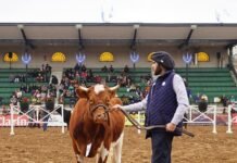 ¡La Yoli, Lunático y Bety se lucieron en Expo Rural 2024!