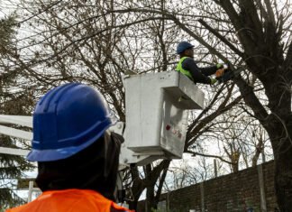 El Municipio de Brown profundiza los operativos de poda y despeje de luminarias mejorando la prevención