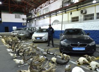 «Operación Cazador Cazado»: cae una organización dedicada a la caza ilegal