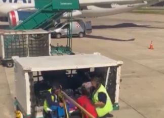 Aeroparque: en medio del conflicto gremial, Intercargo despidió a maleteros por «accionar negligente»