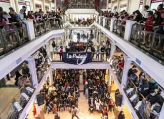 Llega la edición 2024 de la Expo Universidad «Futuro Brown»