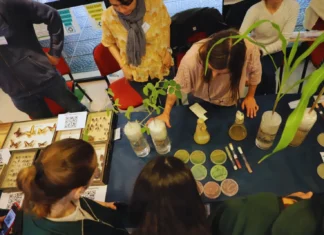 El INTA acerca la innovación a la comunidad