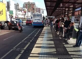 Universitarios, estatales, camioneros y transportistas en paro