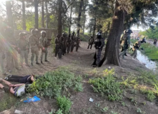 Dan con búnker de drogas en Esteban Echeverría: cayó una banda narco que operaba en la región