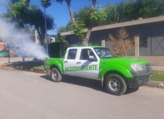 Echeverría: continúan los operativos de fumigación en el distrito