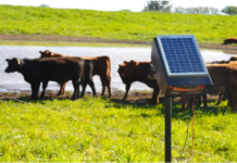 El INTA AMBA y las energías renovables: menor impacto ambiental sin contaminar