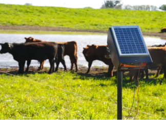 El INTA AMBA y las energías renovables: menor impacto ambiental sin contaminar