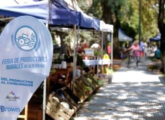 Noviembre: con una amplia variedad de productos a precios accesibles, vuelve el Circuito de Ahorro Brown