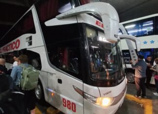 El Gobierno reglamentó la desregulación del transporte automotor de pasajeros