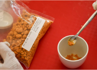 INTA AMBA: Alimentos formulados con materias primas deshidratadas