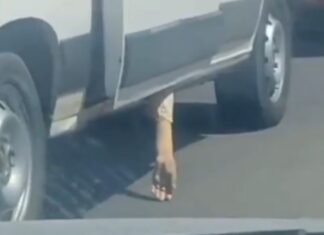 «Que la inocencia te valga»: la macabra broma de una funeraria que estalló en redes sociales