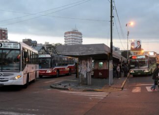 Colectivos: alerta por posibles medidas de fuerza para mañana viernes