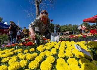 Este sábado y domingo llega la primera Expo Vivero a Almirante Brown